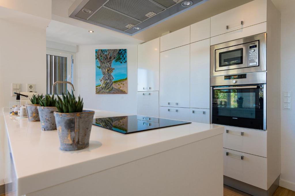 Cocina 01
